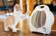 _474_5-правил-как-выбрать-обогреватель-и-не-п